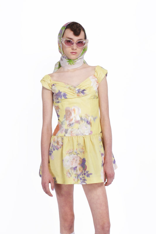 Anna Sui Cabbage Rose Taffeta Sweetheart Dress