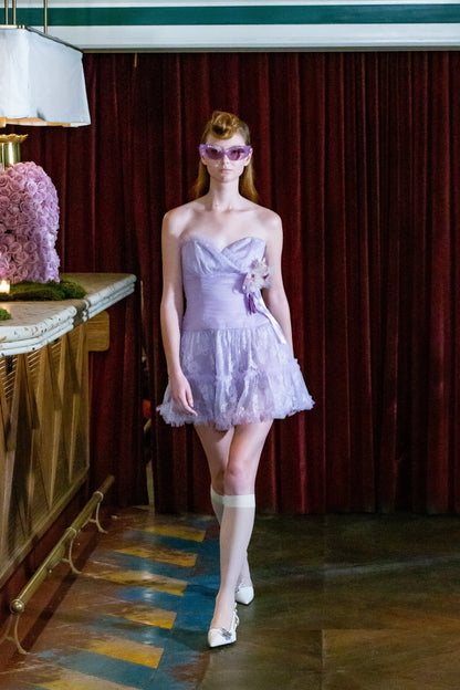Anna Sui Party Girl Strapless Tulle and Lace Dress