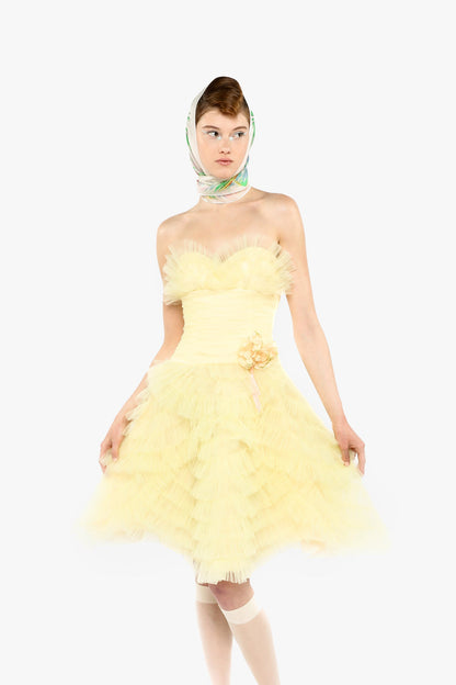 Anna Sui Party Girl Strapless Tulle Dress