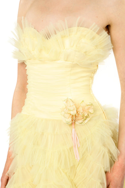 Anna Sui Party Girl Strapless Tulle Dress