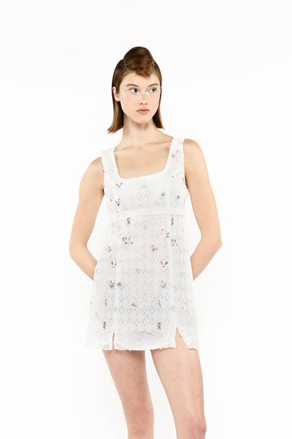 Anna Sui Embroidered Lacey Trellis Mini Dress