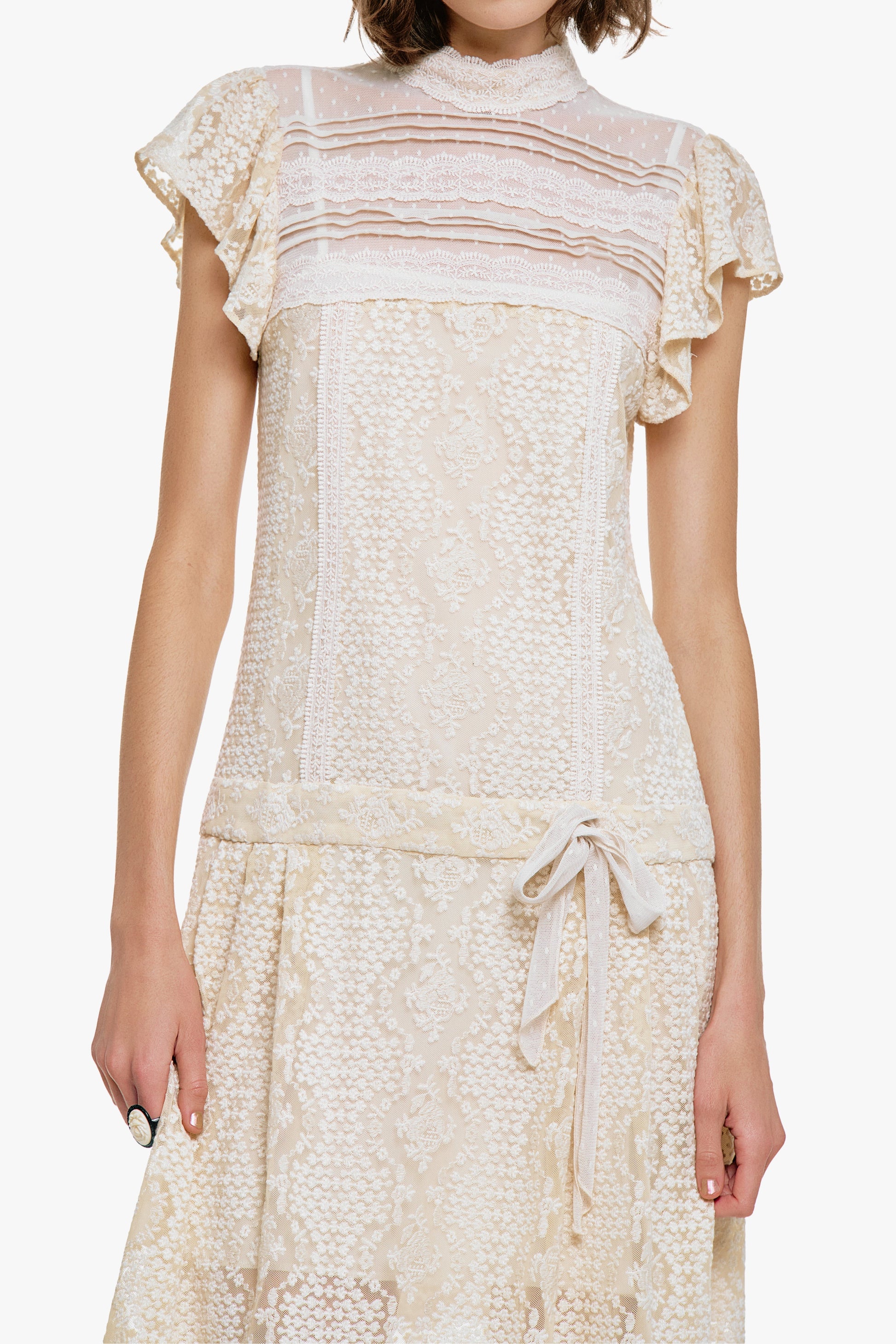 Anna Sui Victorian Lace Combo Drop Waist Dress