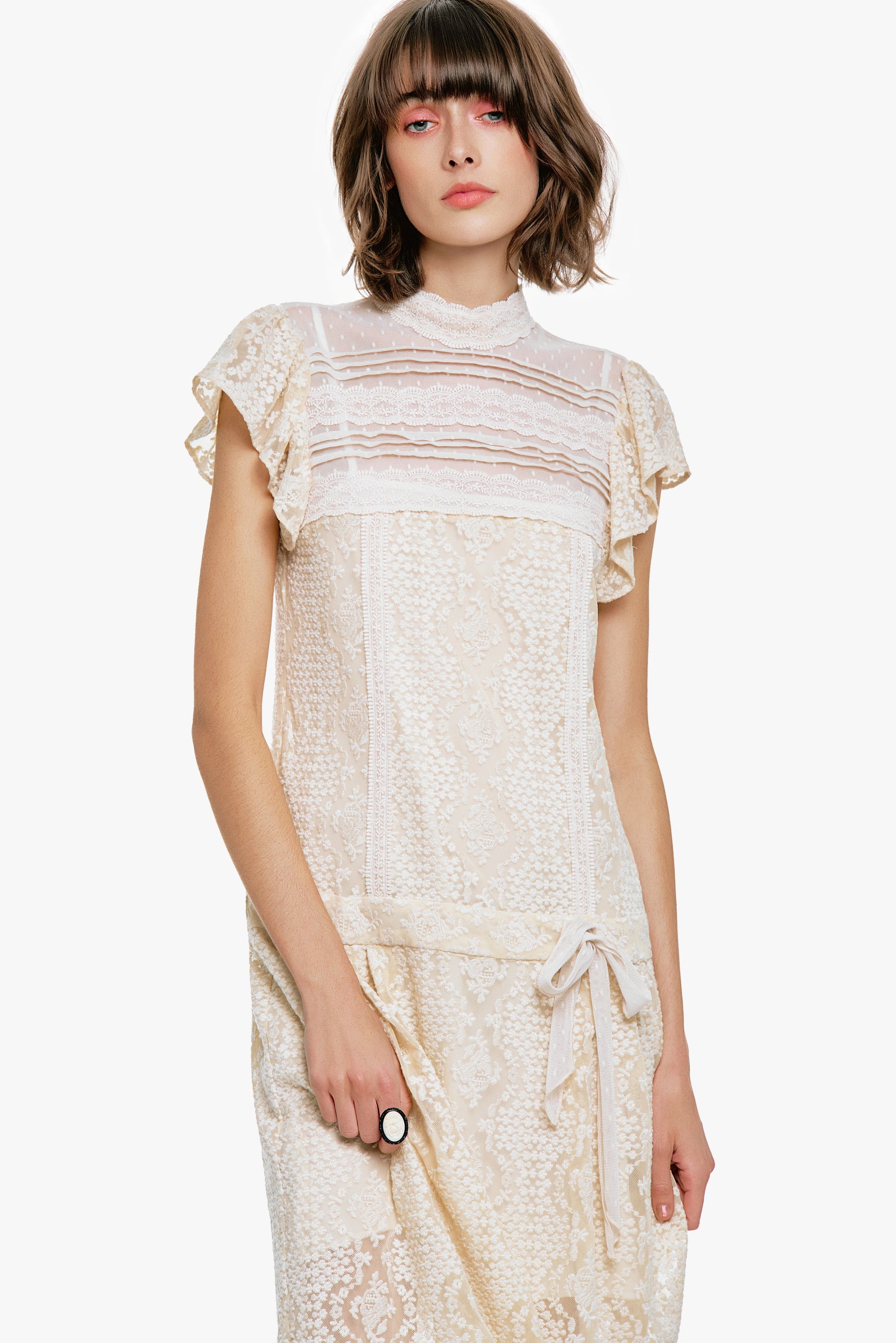 Anna Sui Victorian Lace Combo Drop Waist Dress