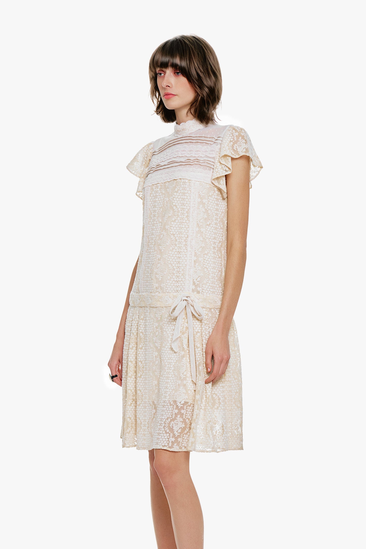 Anna Sui Victorian Lace Combo Drop Waist Dress