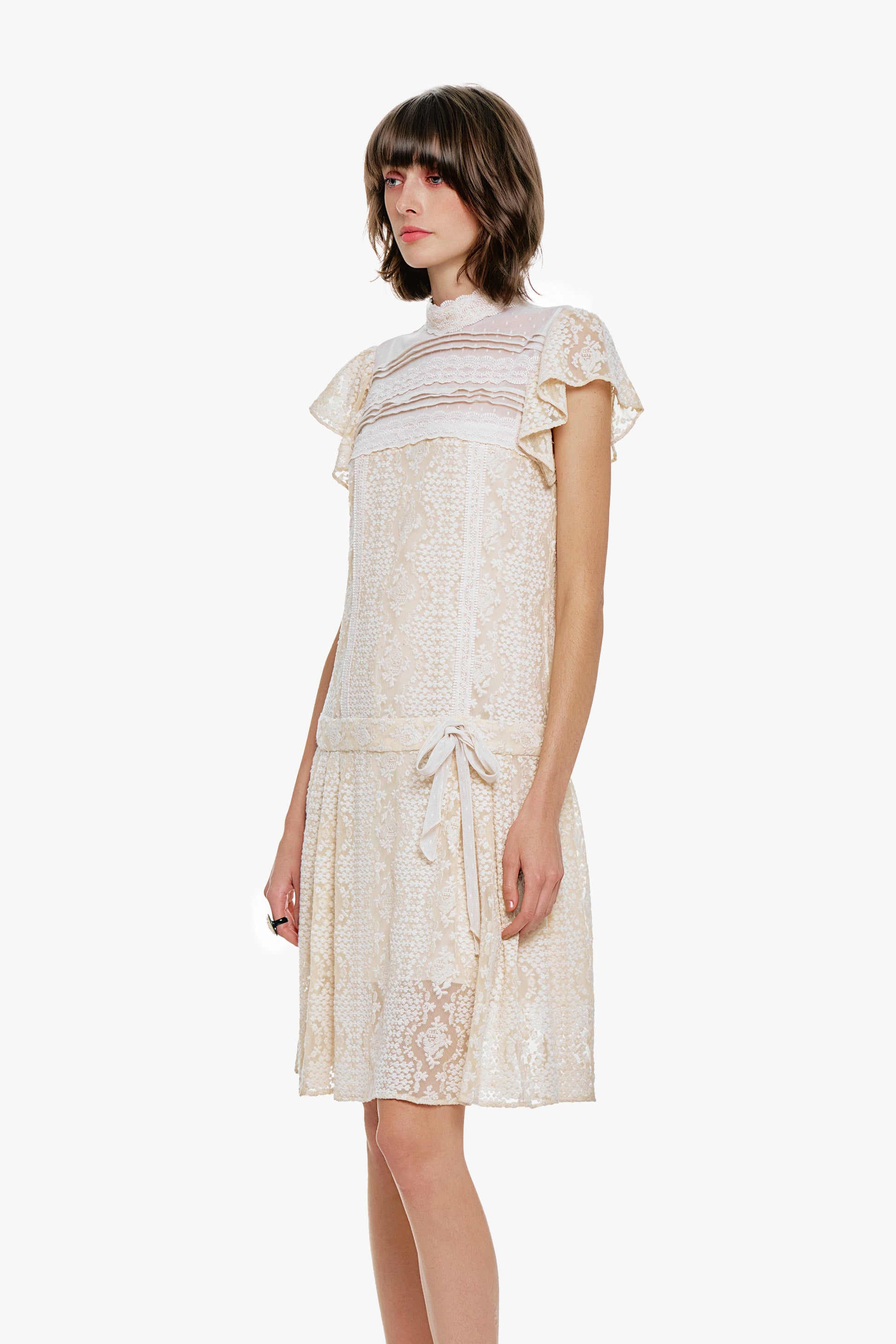 Anna Sui Victorian Lace Combo Drop Waist Dress