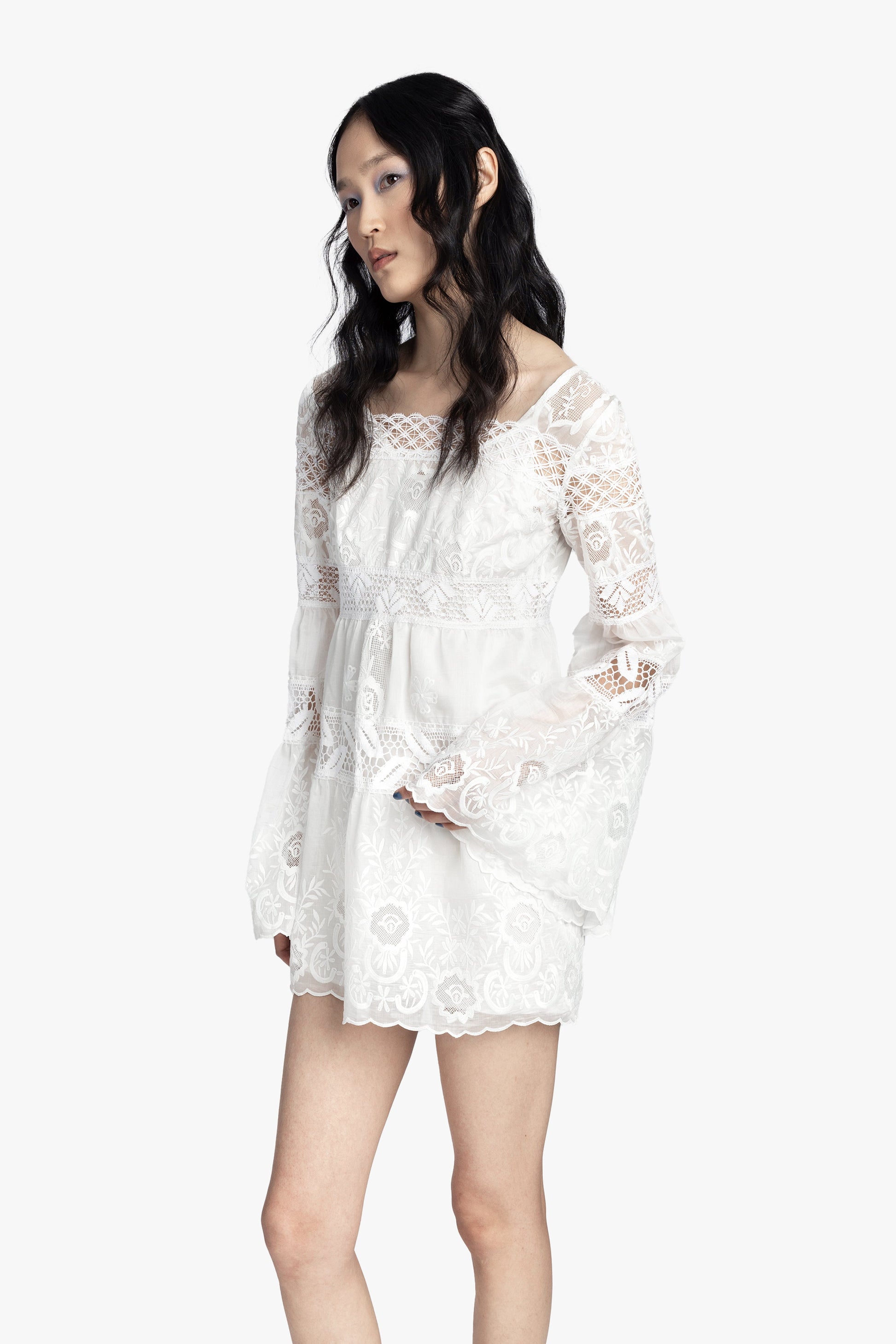 Anna Sui Cottage Rose Lace Mini Dress