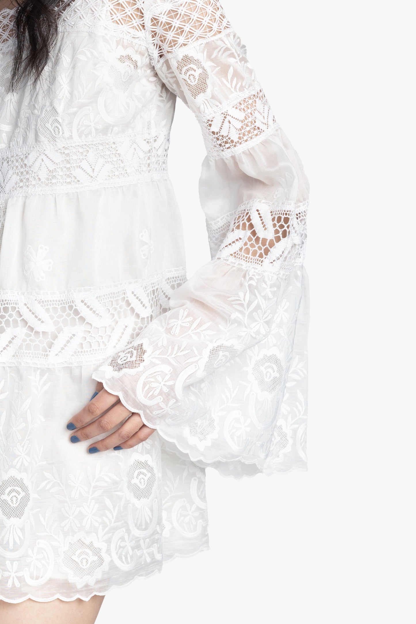 Anna Sui Cottage Rose Lace Mini Dress