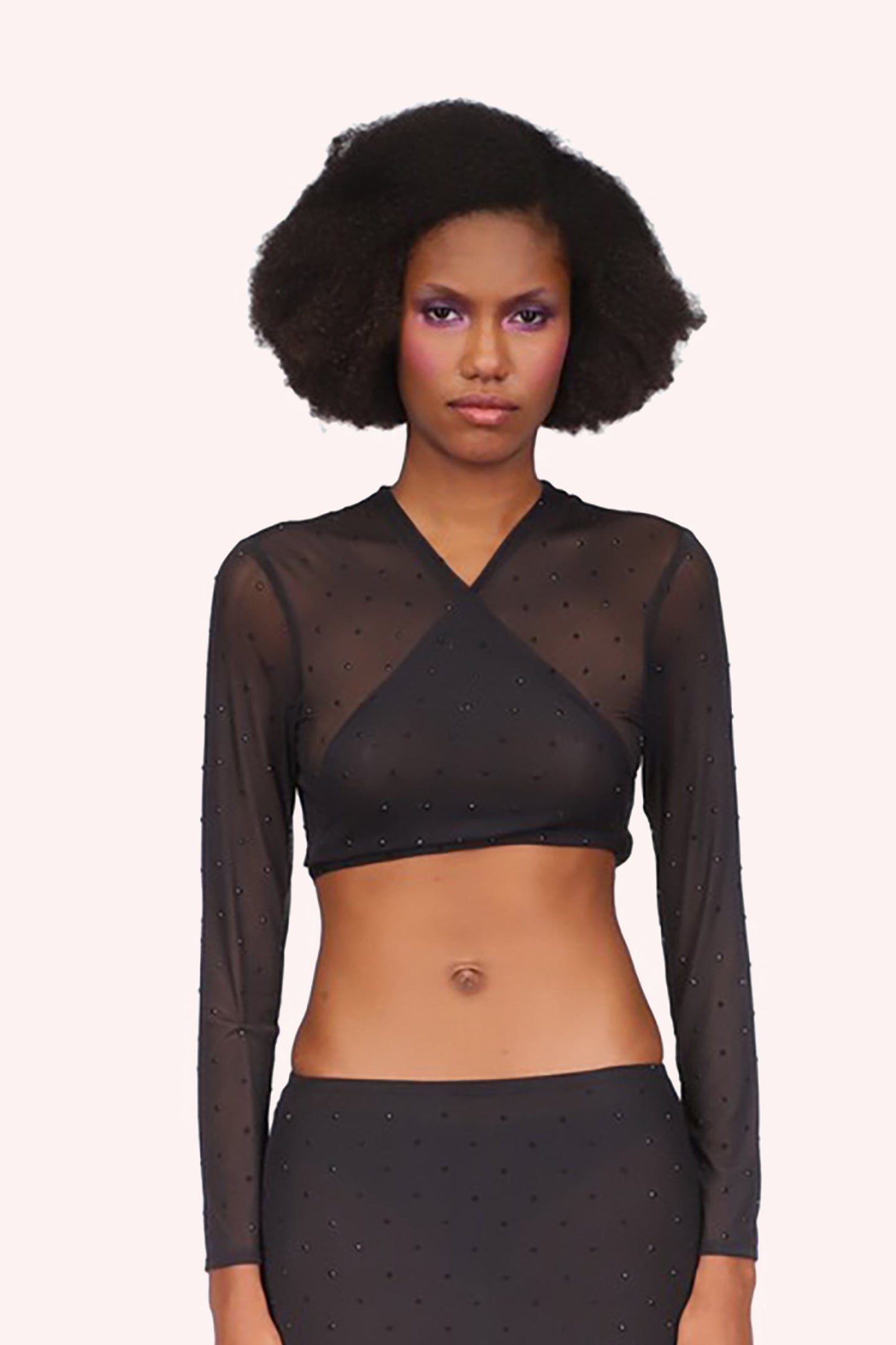 Anna Sui Rhinestone Mesh Tie Top