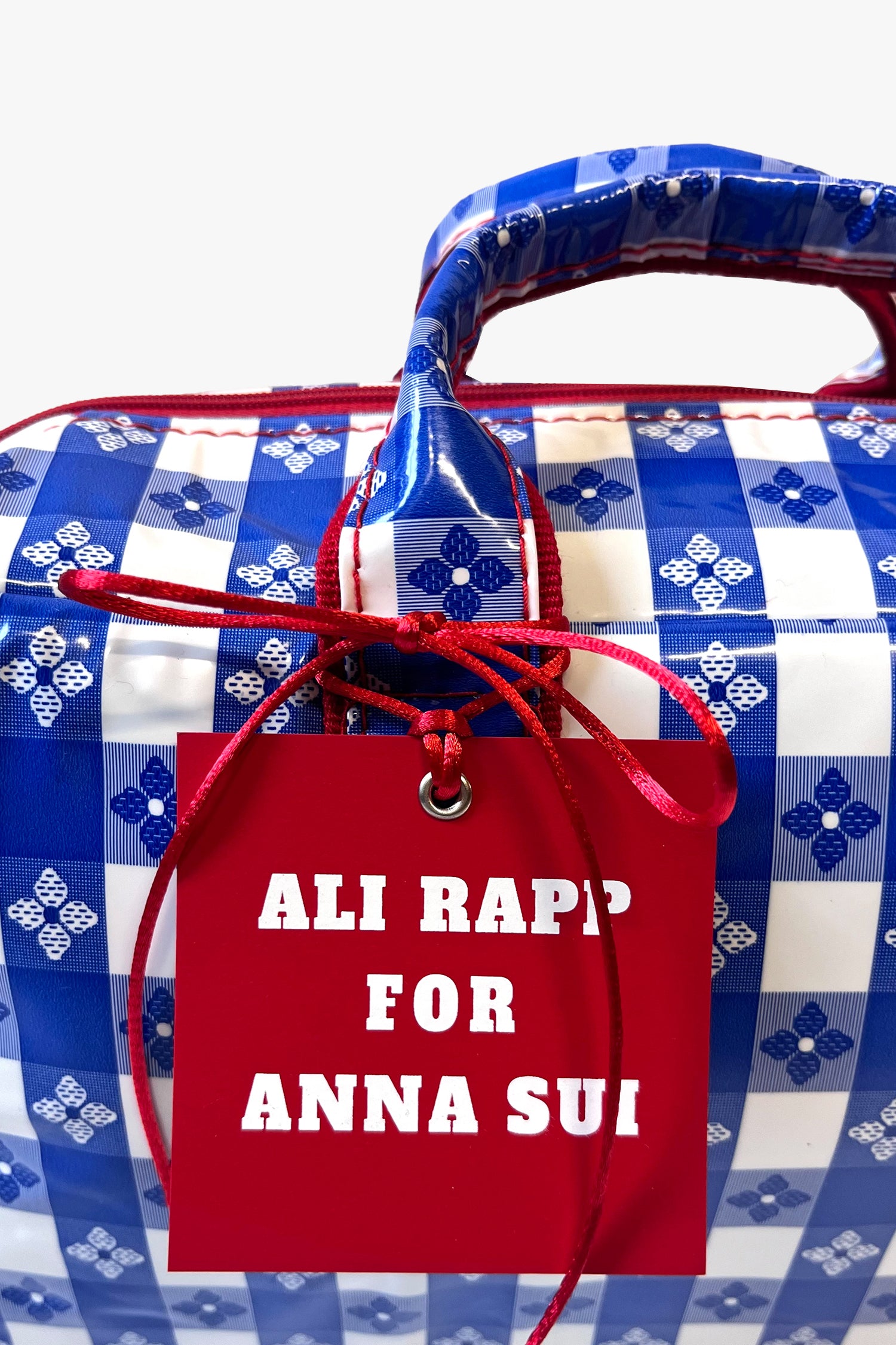 Anna Sui Ali Rapp for Anna Sui Medium Summer Picnic Bag